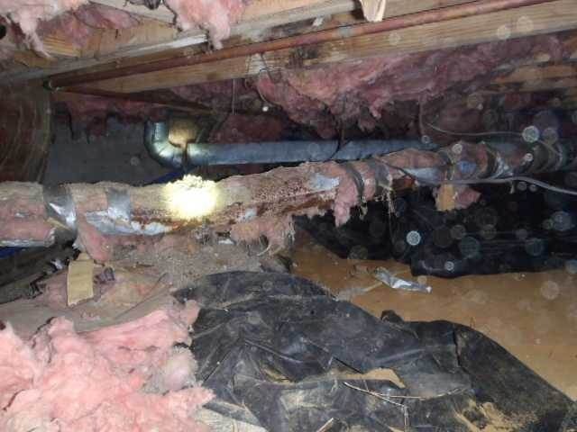 thumbnail_walled-lake-crawl-before